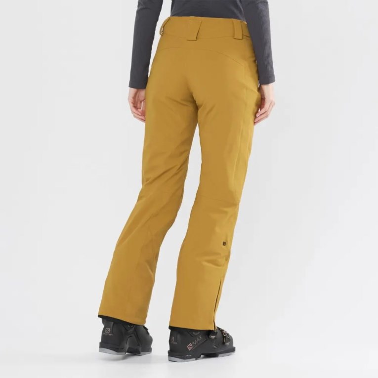 Brown Salomon The Brilliant Women's Ski Pants | PH 49867N